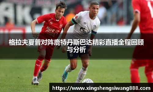 mk体育平台